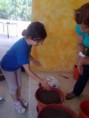 /album/galeria-de-fotos-estou-curioso1/sementeiras-10-jpg/
